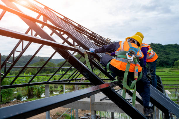 Best Roof Waterproofing Services  in Montgomery, IL